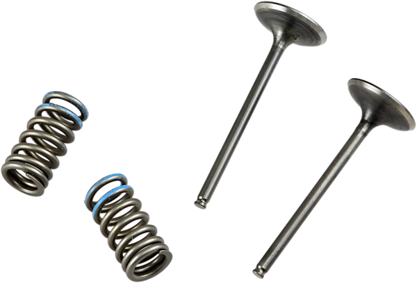 Valve And Spring Kit-165f446075025ab1827fe83081f460d9.webp