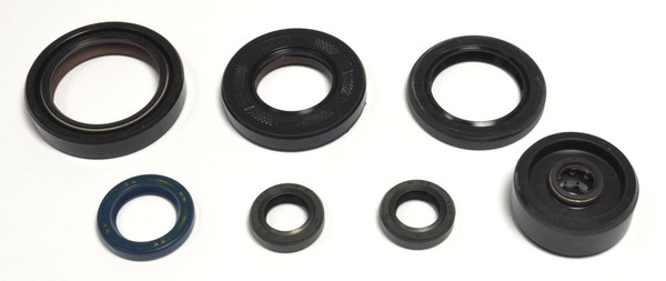 Engine Oil Seal-2d11d3c80ac780b759a71ececcaa3452.webp