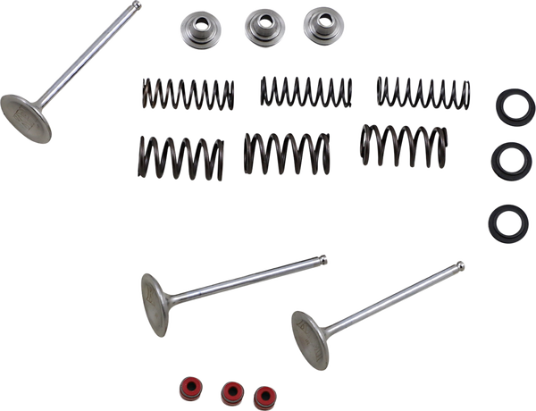 MOOSE RACING Stainless Intake Valve And Spring Kit 