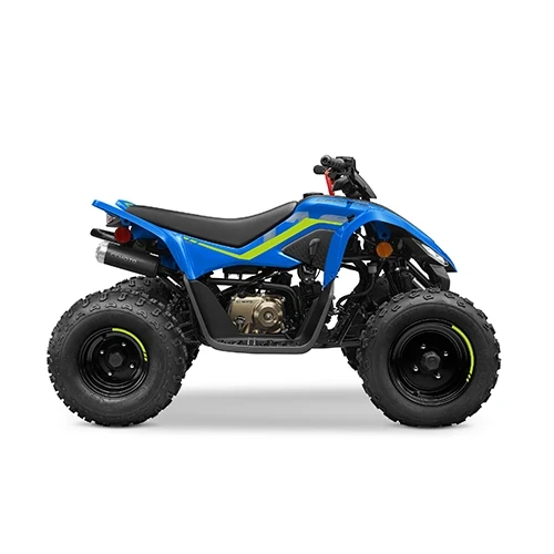 CFMOTO CFORCE 110 '25-1