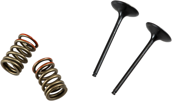 Valve And Spring Kit-1