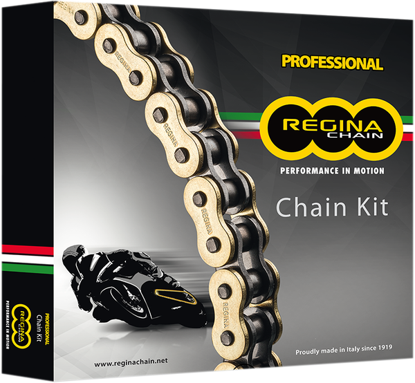 525 Zrp Chain And Sprocket Kit Black, Gold-0