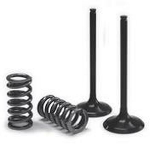 Valve & Spring Kit Black