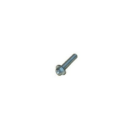 HH COLLAR SCREW M 5X25    WS 6