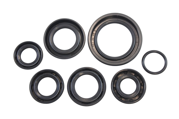 Oil Seal Kit-1