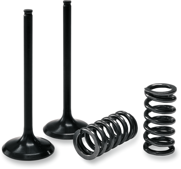 Valve And Spring Kit