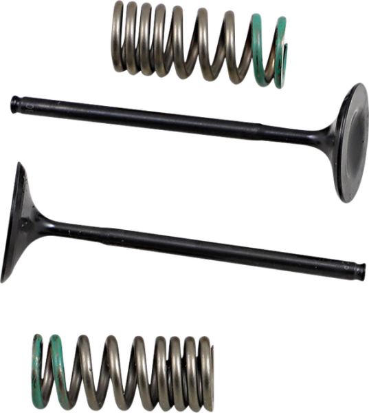 Valve And Spring Kit