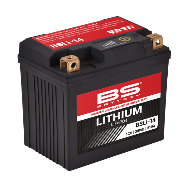 Lithium Lifepo4 Battery Black-7b317498c5cdb4248e21b300b02c7a9c.webp