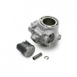 CYLINDER + PISTON CPL.    2012-0