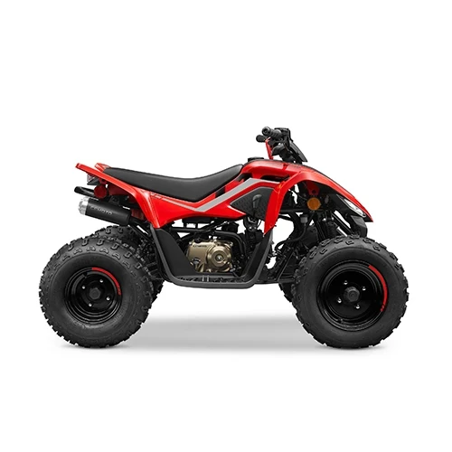 CFMOTO CFORCE 110 '25-0