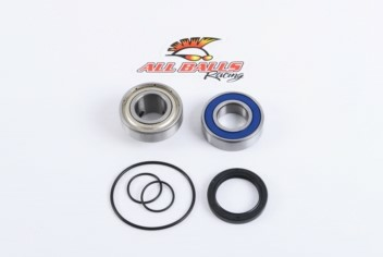 ALL-BALLS Bearing&seal kit-965f4e7bc4f4a96f924c9fc615ad348a.webp