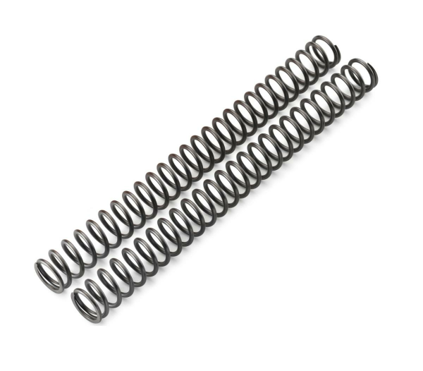 Fork spring set