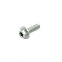 HH collar screw M6x15 TX30