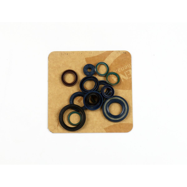 Engine Oil Seals Kit-0