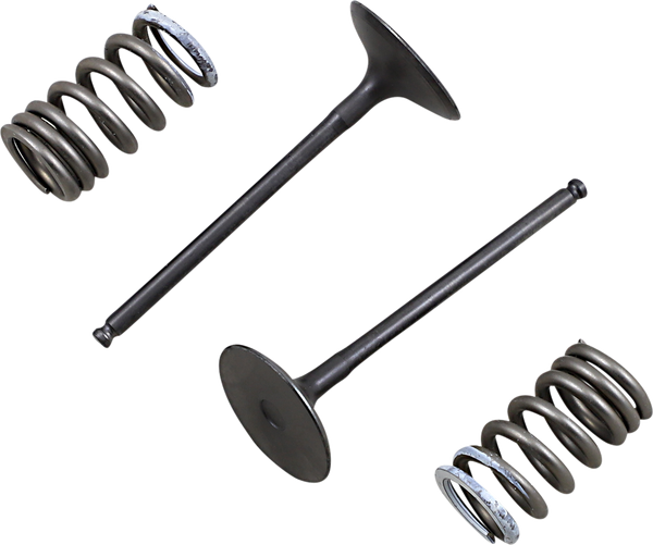 Valve And Spring Kit