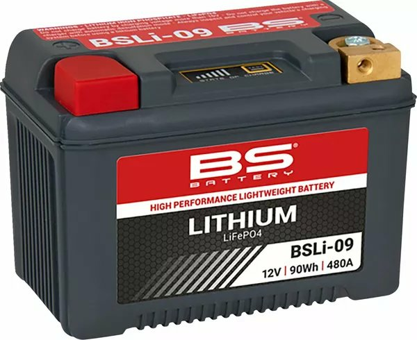 BS BATTERY Lithium Lifepo4 Battery Black 