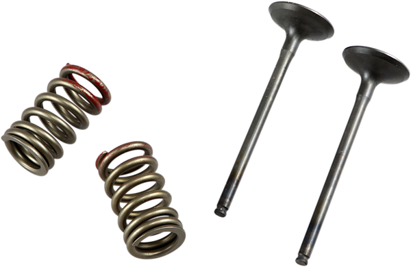 Valve And Spring Kit-b1f2e31740929e642f0f9cab338ca71e.webp