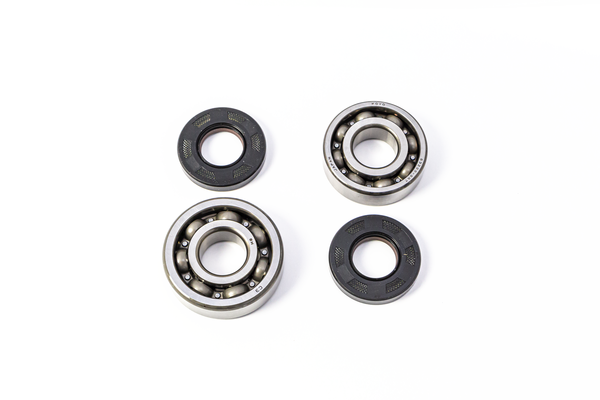 Crank Bearing Seal Kit