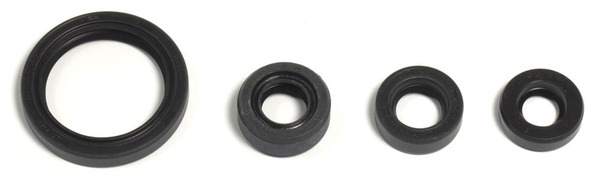 Engine Oil Seal-b7dfb7089adb712e2ab372c7afde48b6.webp