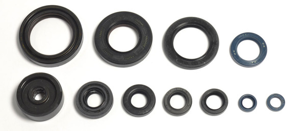 Engine Oil Seal