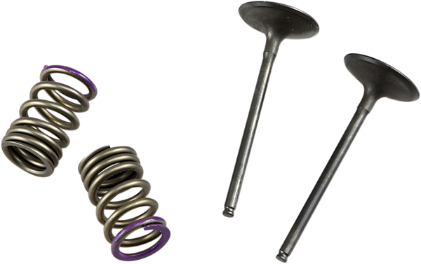 Valve And Spring Kit-bdcb17696e040be343f4b5b90df4cccf.webp