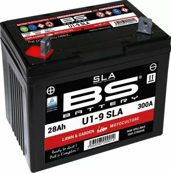 BS BATTERY Sla Factory- Activated Agm Maintenance-free Battery Black 