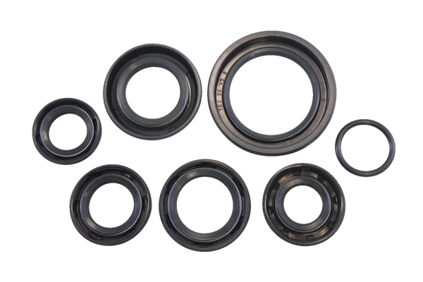 Oil Seal Kit-c81b771f6cbe56a3a1062d583e2508ac.webp