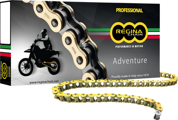 520 Zre Z-ring Chain Gold