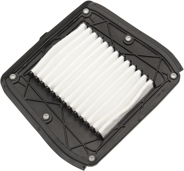 Indian Oem Replacement Air Filter Element Black, White