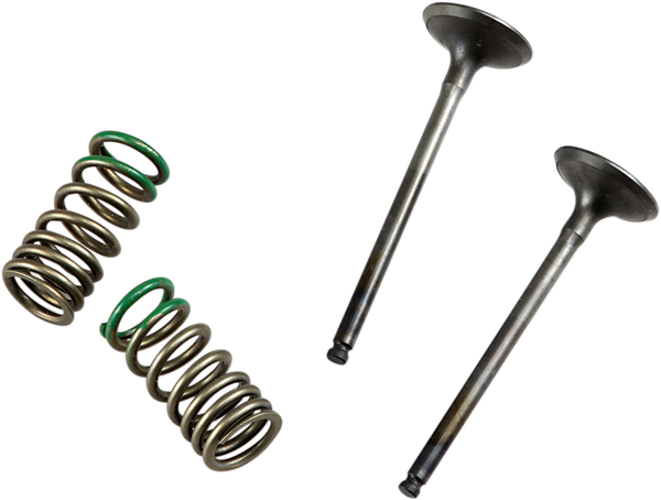 Valve And Spring Kit-cd9d42661c9a6c5399cd9aed43899319.webp