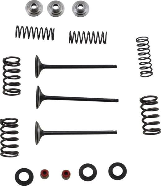 MOOSE RACING Stainless Intake Valve And Spring Kit 