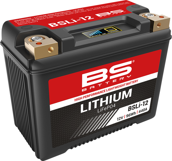 Lithium Lifepo4 Battery Black-d3093024c9d106befee81622bacb2142.webp