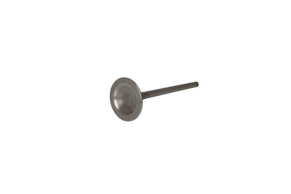 Engine Valve Titanium-d46d2f73eba85e0897113f6ef6245459.webp