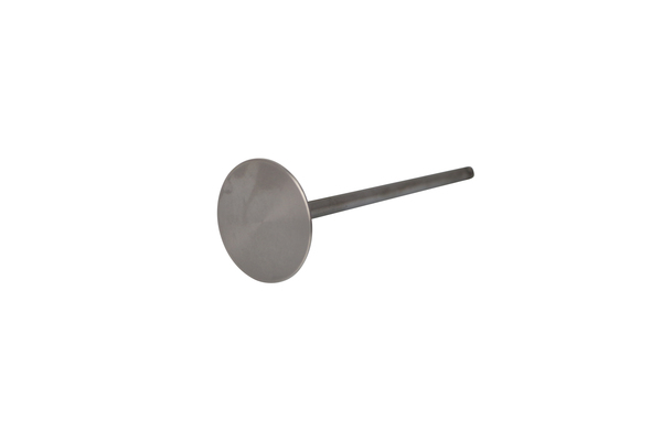 Engine Valve Titanium-0