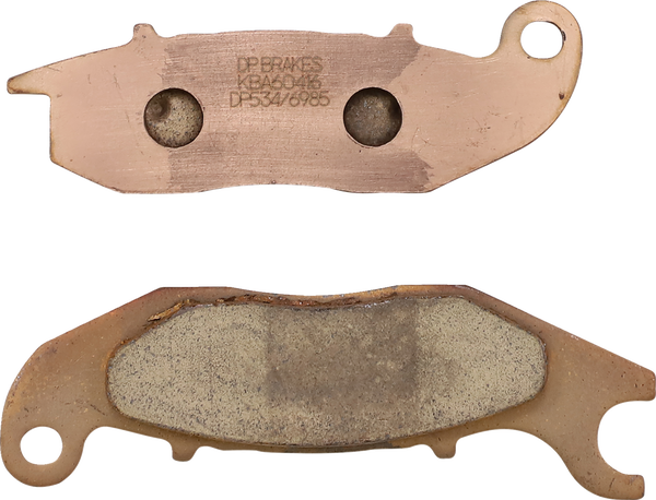 Standard Dp Sintered Brake Pads-db337a9a6c6d1b4b639f1fb6b3415c37.webp