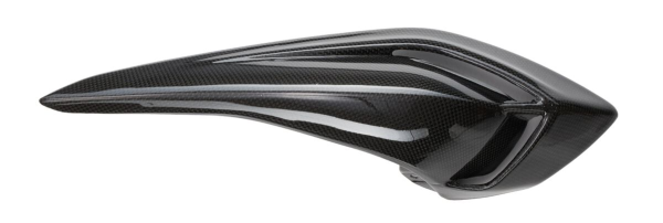 CARBON TAIL PANEL