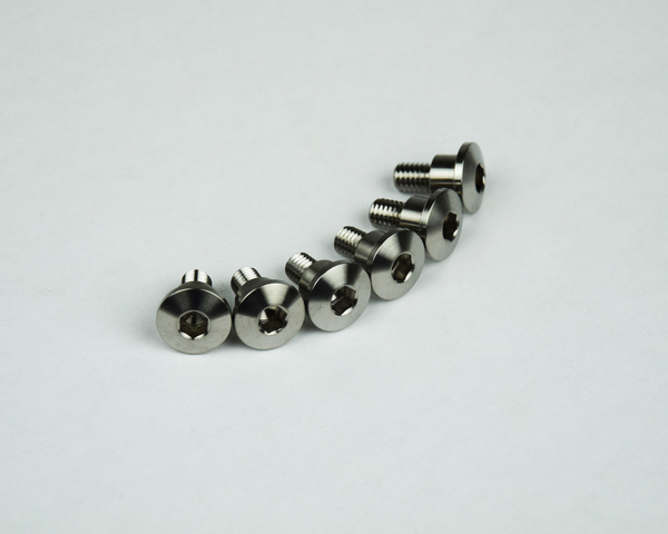 Titanium Screws Unfinished