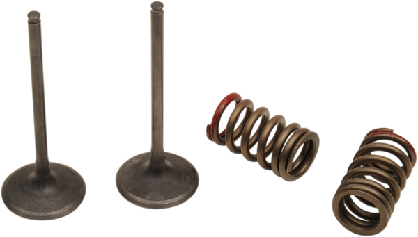 Valve And Spring Kit