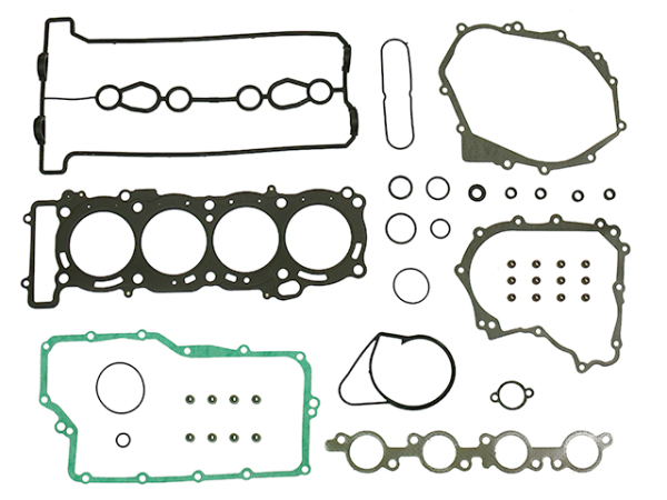 Full set W/Oil sealS Yamaha Apex RX10 1000