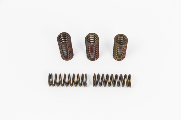 Clutch Spring Set Bronze-fde42d1ebd5252a9a1e44ad2d37e8cd9.webp