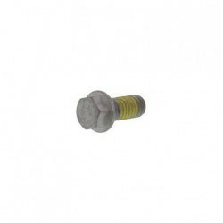 SPECIAL SCREW M6X13 WS 8  10.9