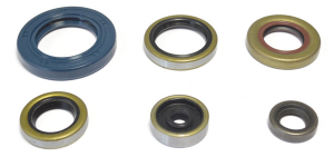 Engine Oil Seal