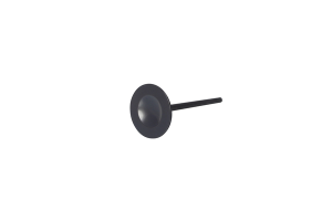 Engine Valve Titanium