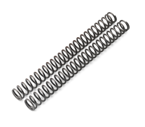 FORK SPRING SET