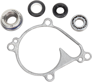 Water Pump Repair Kit