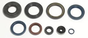 Engine Oil Seal