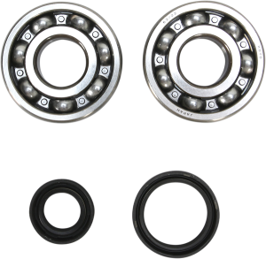 Crankshaft Bearing And Seal Kit