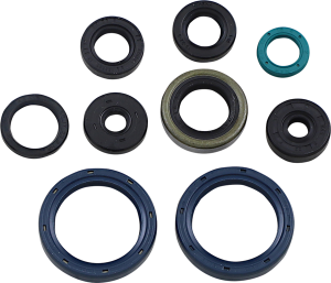 Oil Seal Gasket Kit