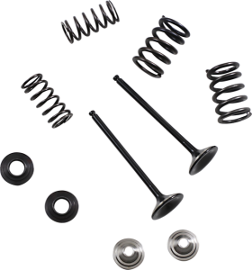 MOOSE RACING Stainless Exhaust Valve And Spring Kit 