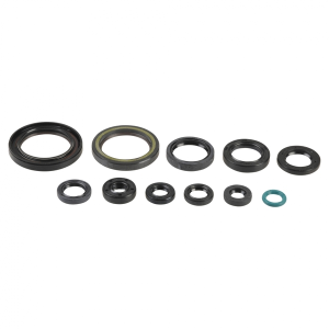 Engine Oil Seal